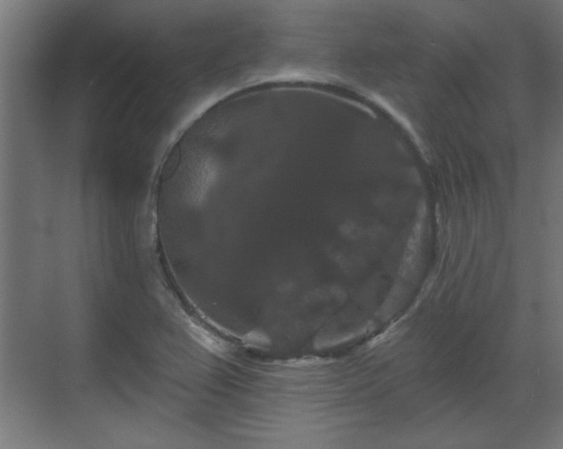 X0000070861367200606191305