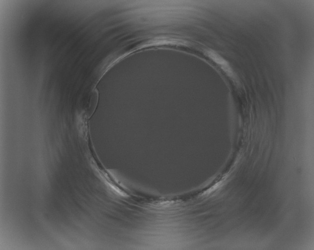 X0000070861369200606191305