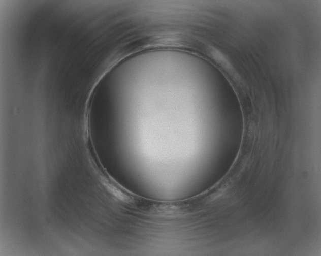 X0000070861370200606191305