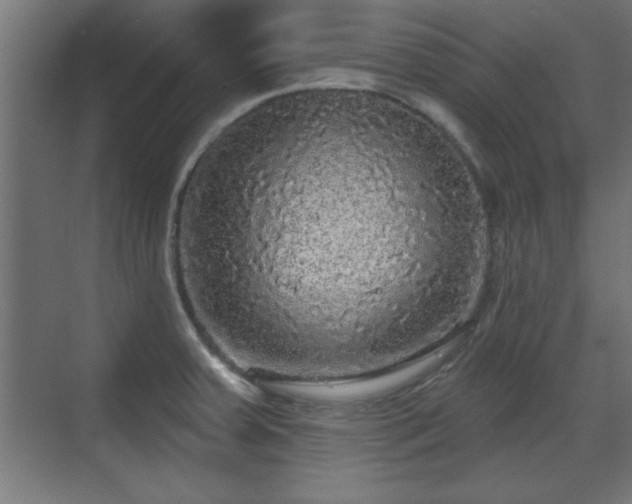 X0000070861379200606191305