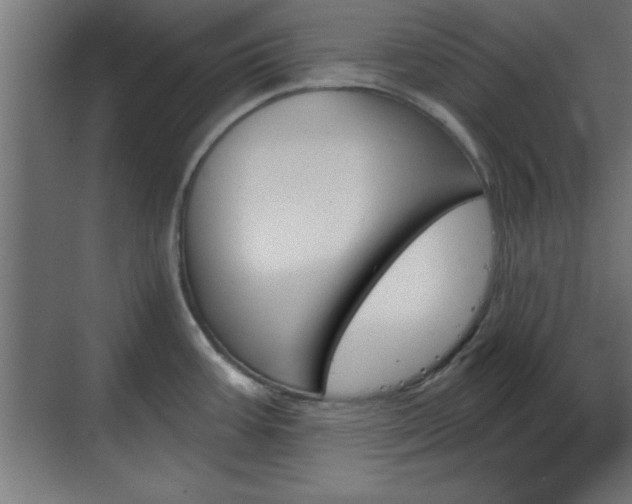 X0000070861387200606191305