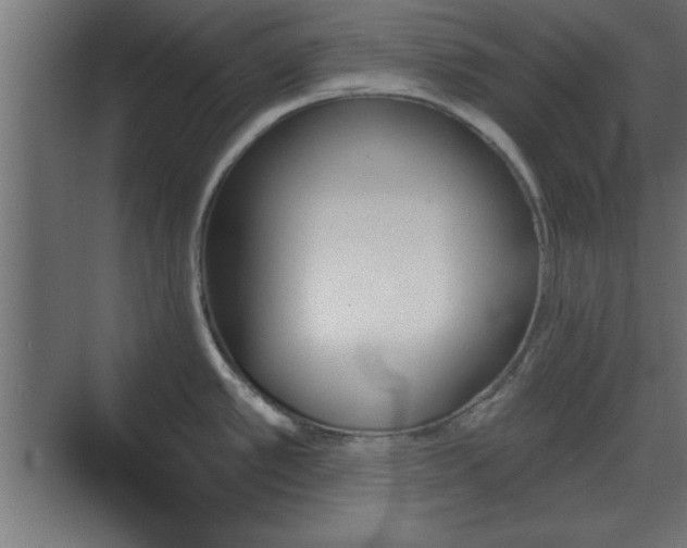 X0000070861389200606191305
