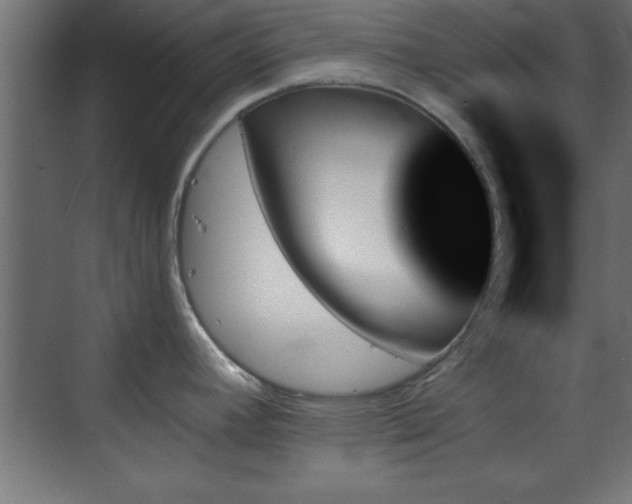 X0000070861392200606191305