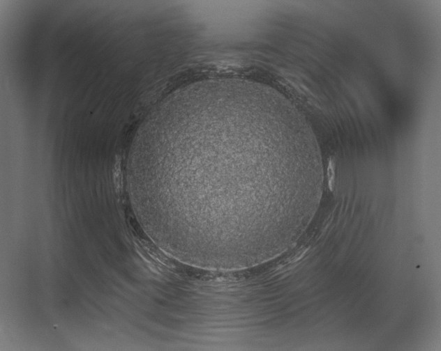 X0000070861395200606191304