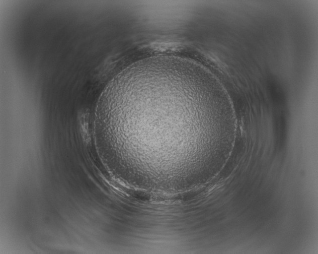 X0000070861396200606191304