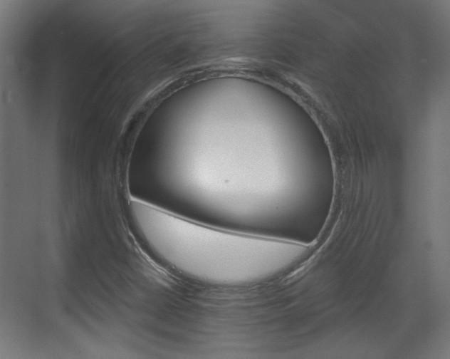 X0000070861402200606191304