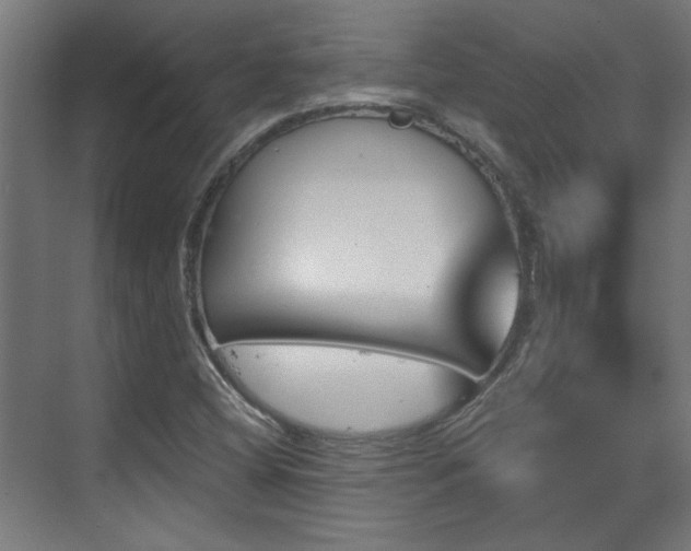 X0000070861404200606191304