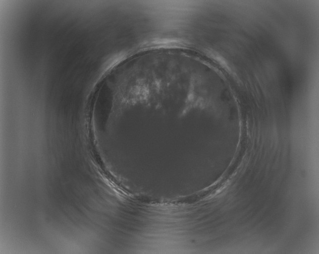 X0000070861405200606191304