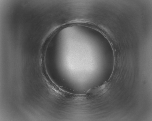 X0000070861406200606191304