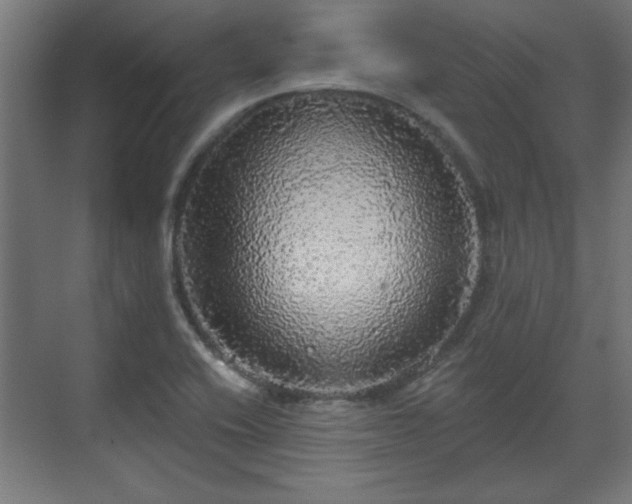 X0000070861416200606191304