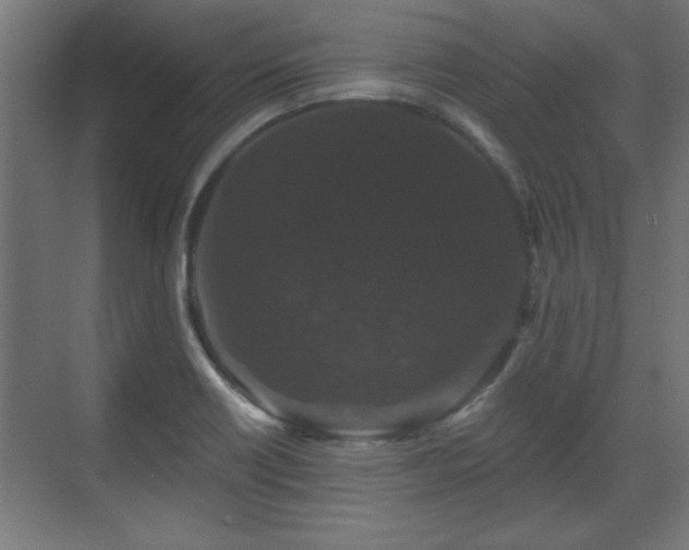 X0000070861418200606191304