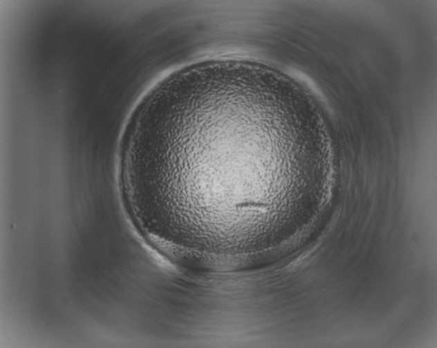 X0000070861424200606191305