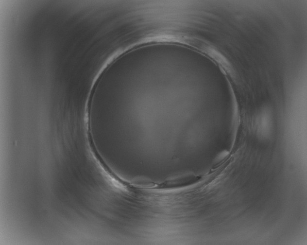 X0000070861428200606191305