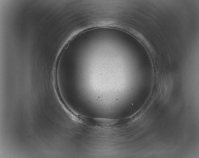 X0000070861432200606191305