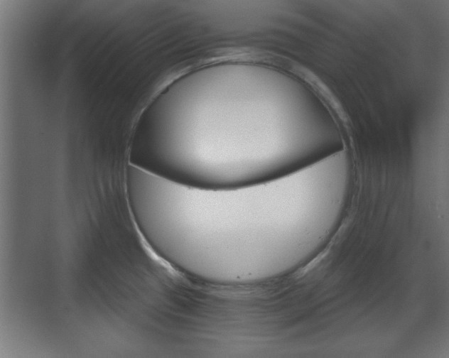 X0000070861433200606191305