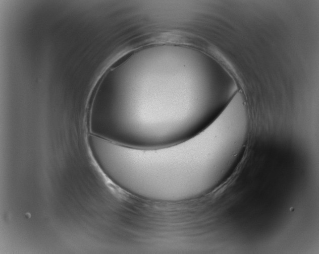 X0000070861434200606191305