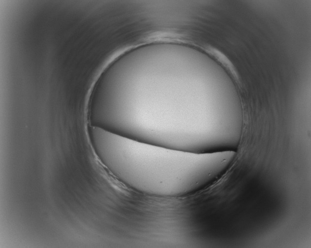X0000070861435200606191305