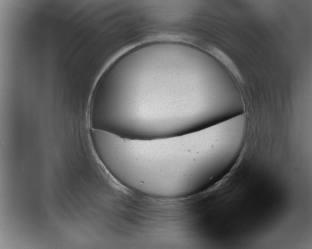 X0000070861436200606191305