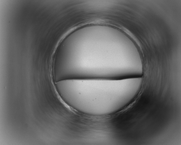 X0000070861437200606191305