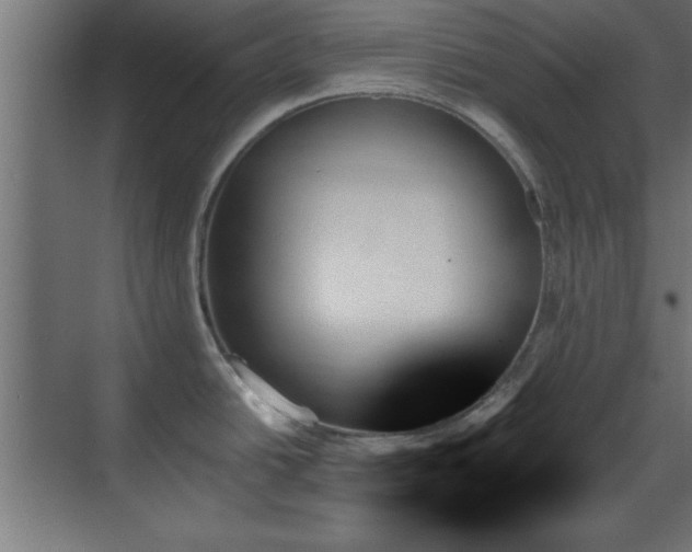 X0000070861438200606191305