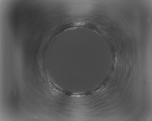 X0000070861441200606191304