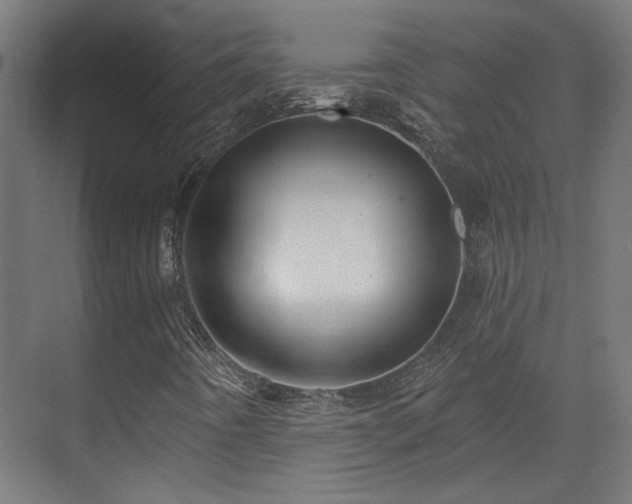 X0000070861442200606191304