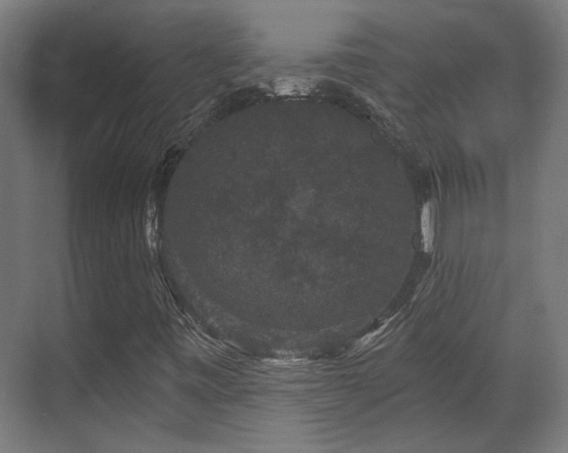 X0000070861443200606191304