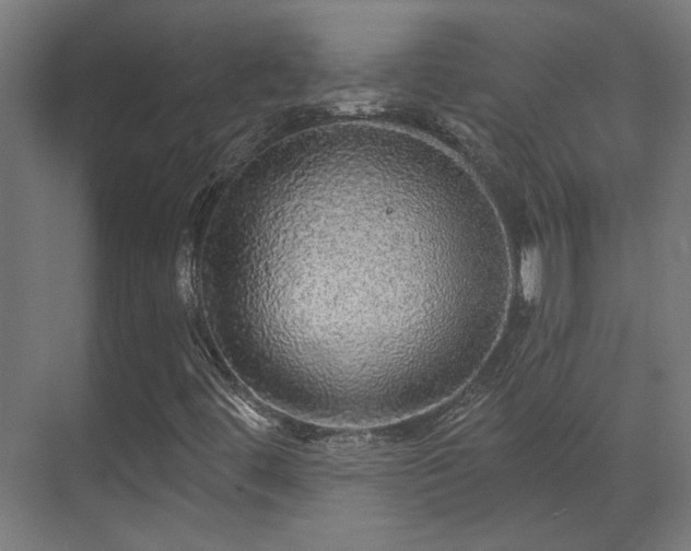 X0000070861444200606191304