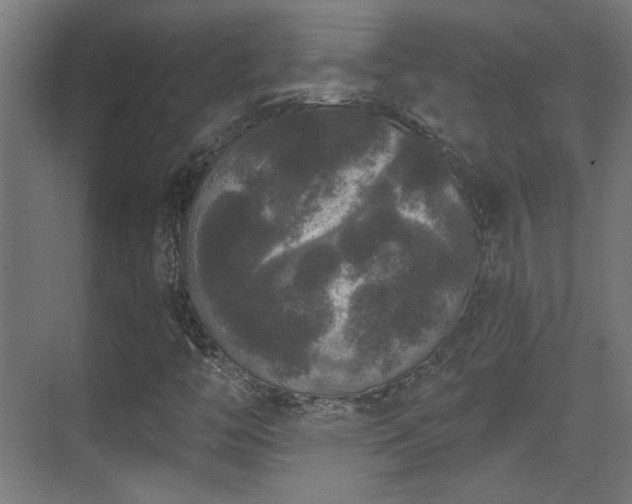 X0000070861446200606191304