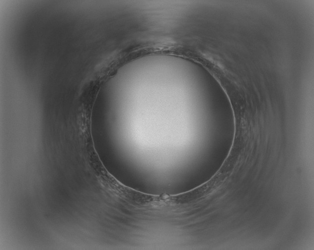 X0000070861447200606191304