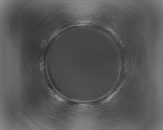 X0000070861449200606191304