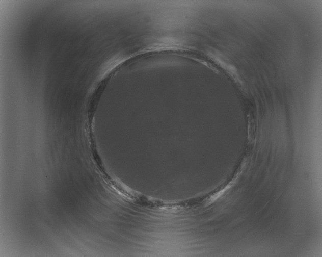 X0000070861453200606191304