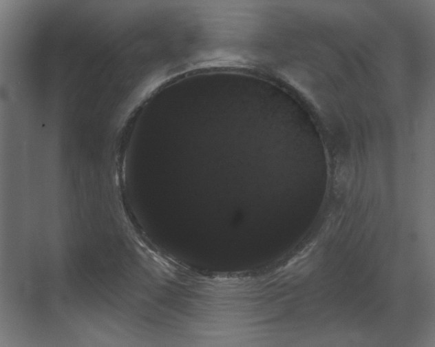 X0000070861455200606191304