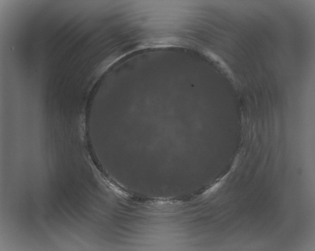 X0000070861457200606191304