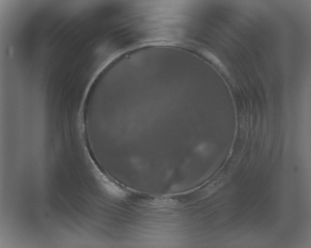 X0000070861466200606191304