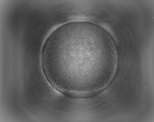 X0000070861472200606191303