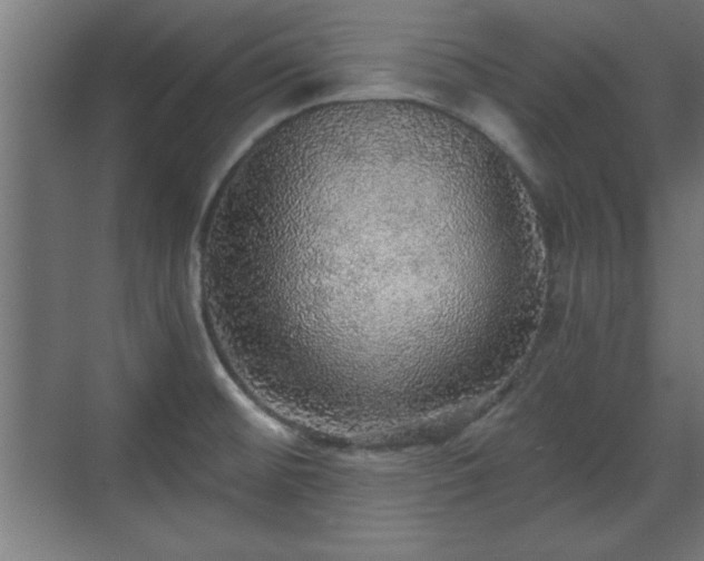 X0000070861476200606191303