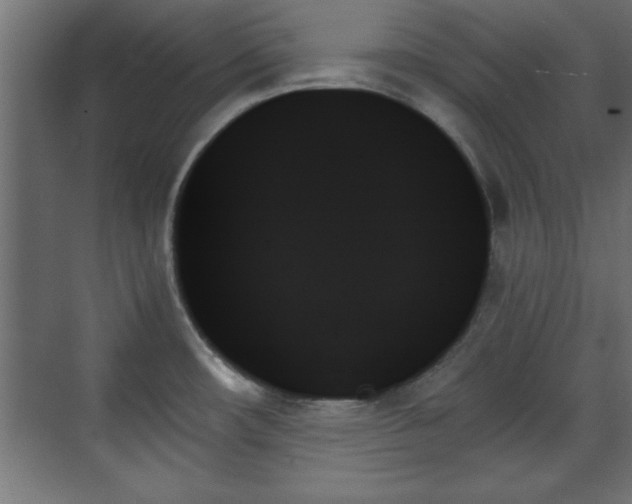 X0000070861482200606191303