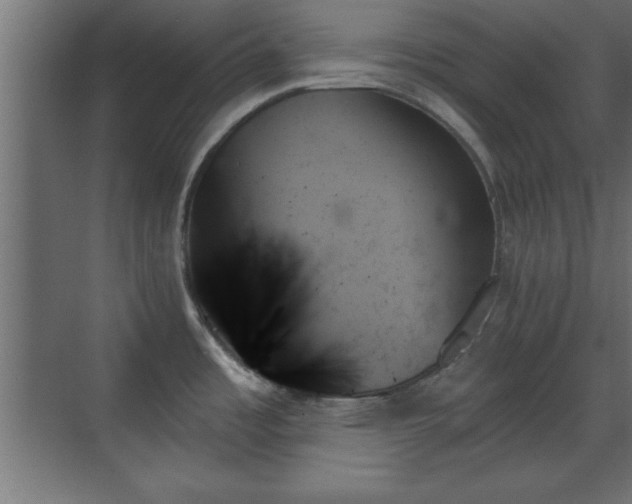 X0000070861485200606191303