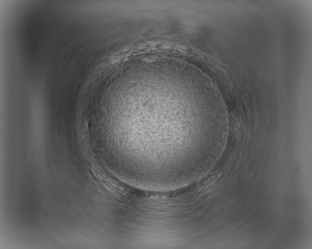X0000070861489200606191302