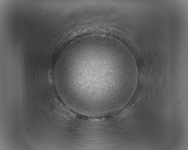 X0000070861490200606191302