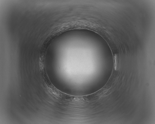 X0000070861491200606191302