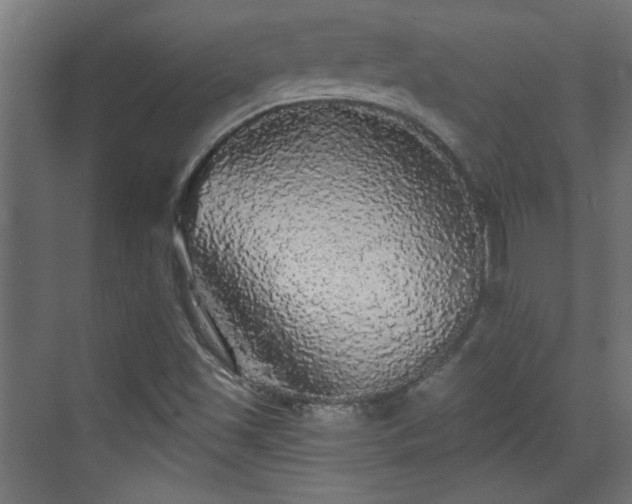 X0000070861501200606191303
