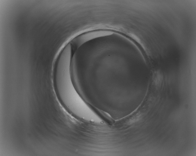 X0000070861508200606191303