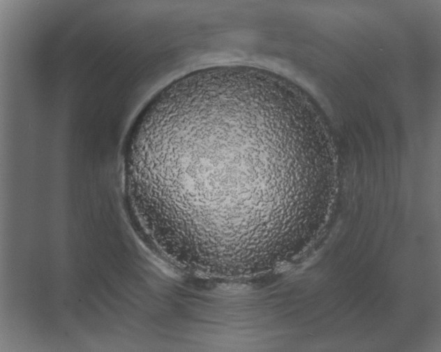 X0000070861509200606191303