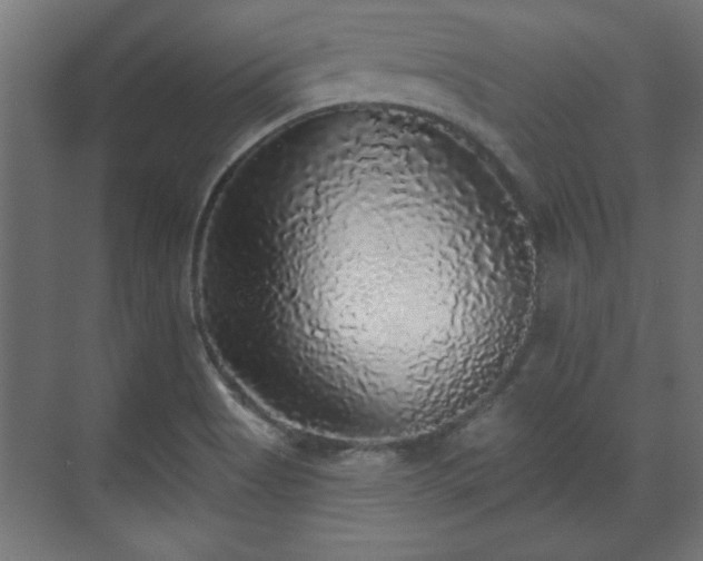 X0000070861513200606191303