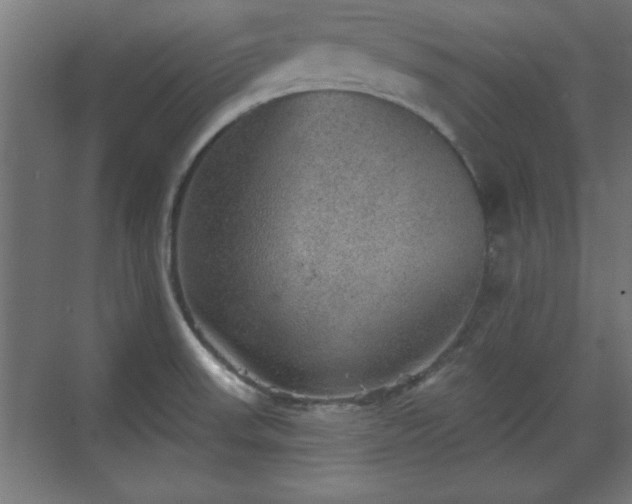 X0000070861523200606191303