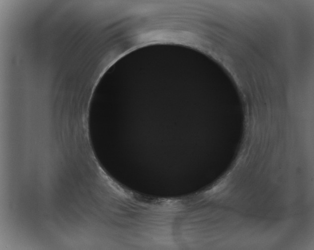 X0000070861529200606191303