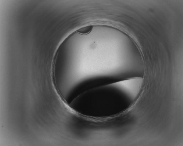 X0000070861533200606191303