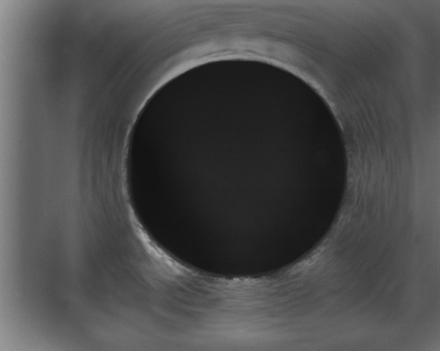 X0000070861534200606191303